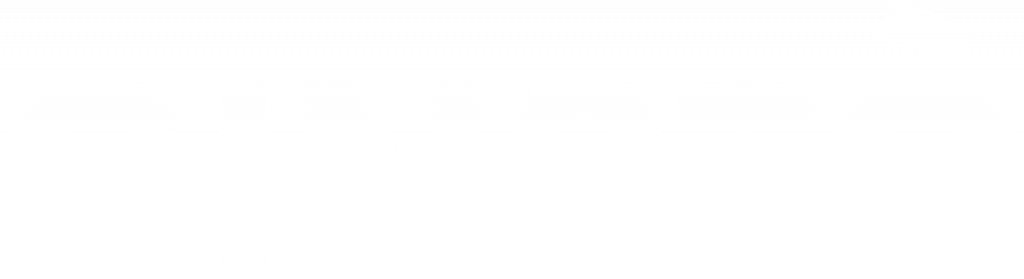 logo-white-ginsto